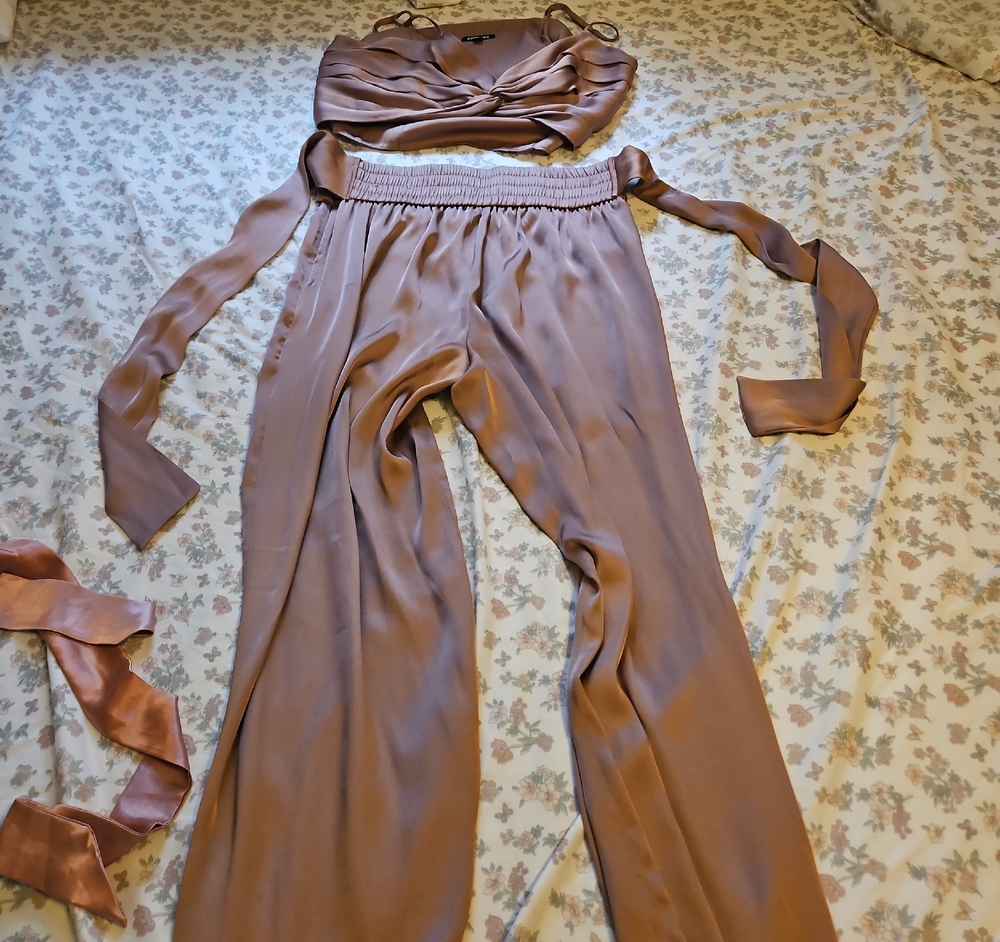 Express Mauve Satin Wide-Leg Pants with Matching Crop Top